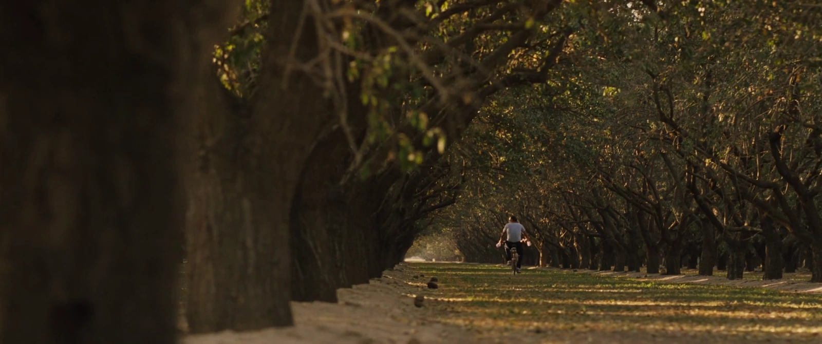 McFarland, USA screenshot 3