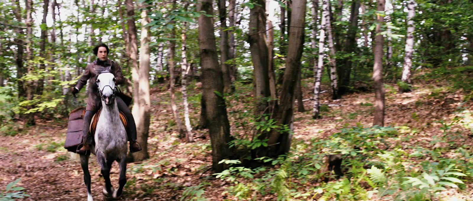 Dracula 3D screenshot 4