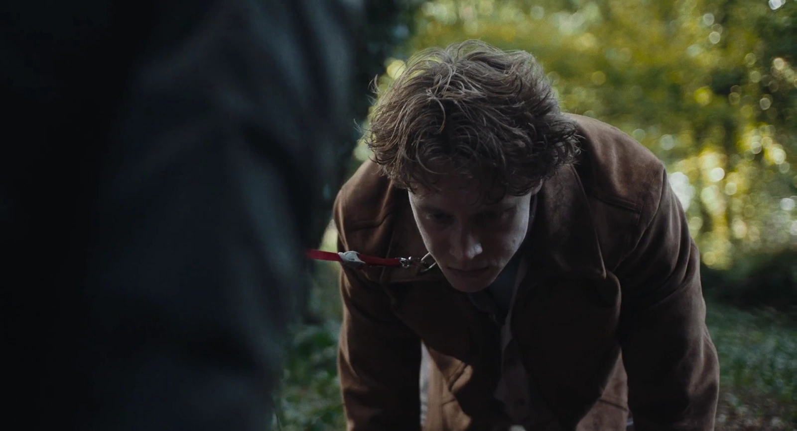 Wolf screenshot 2