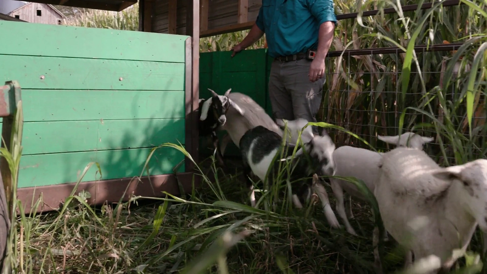 Food, Inc. 2 screenshot 2