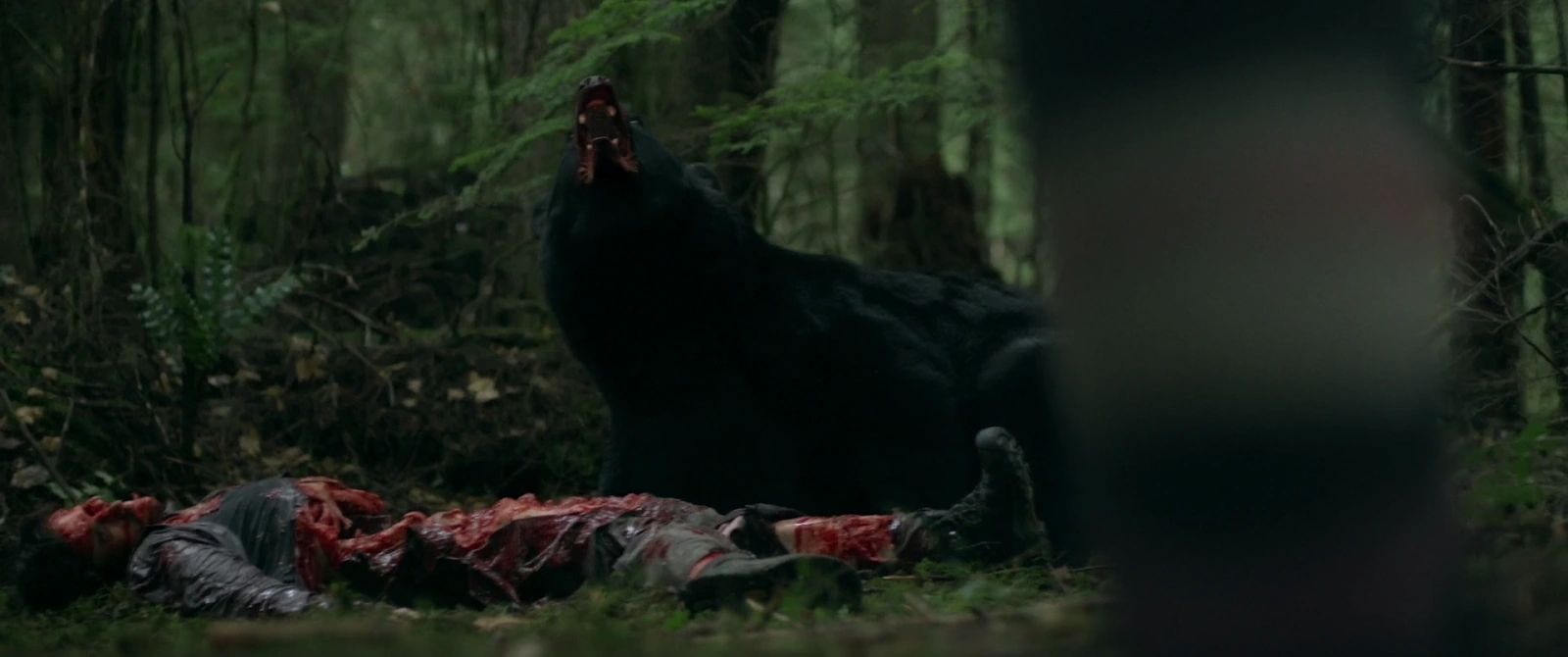 Backcountry screenshot 2