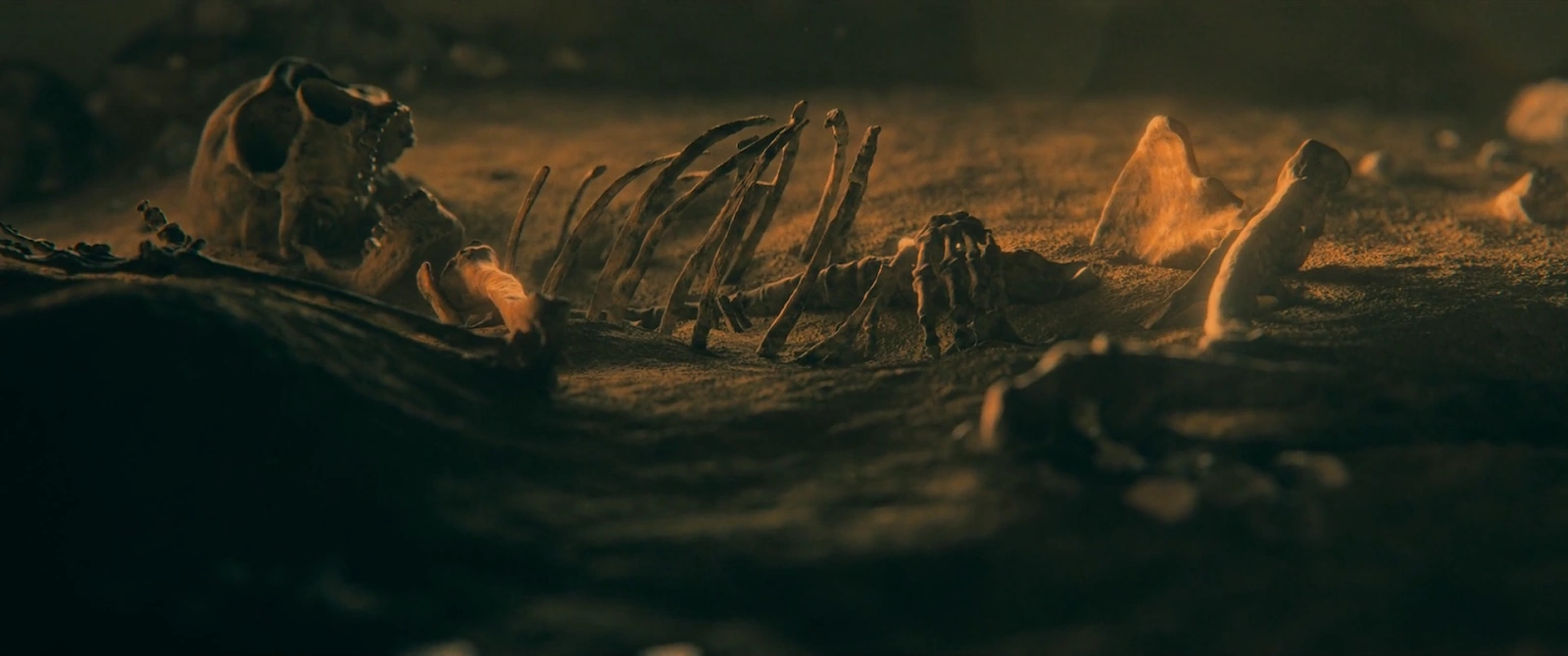 Secrets of the Neanderthals screenshot 2