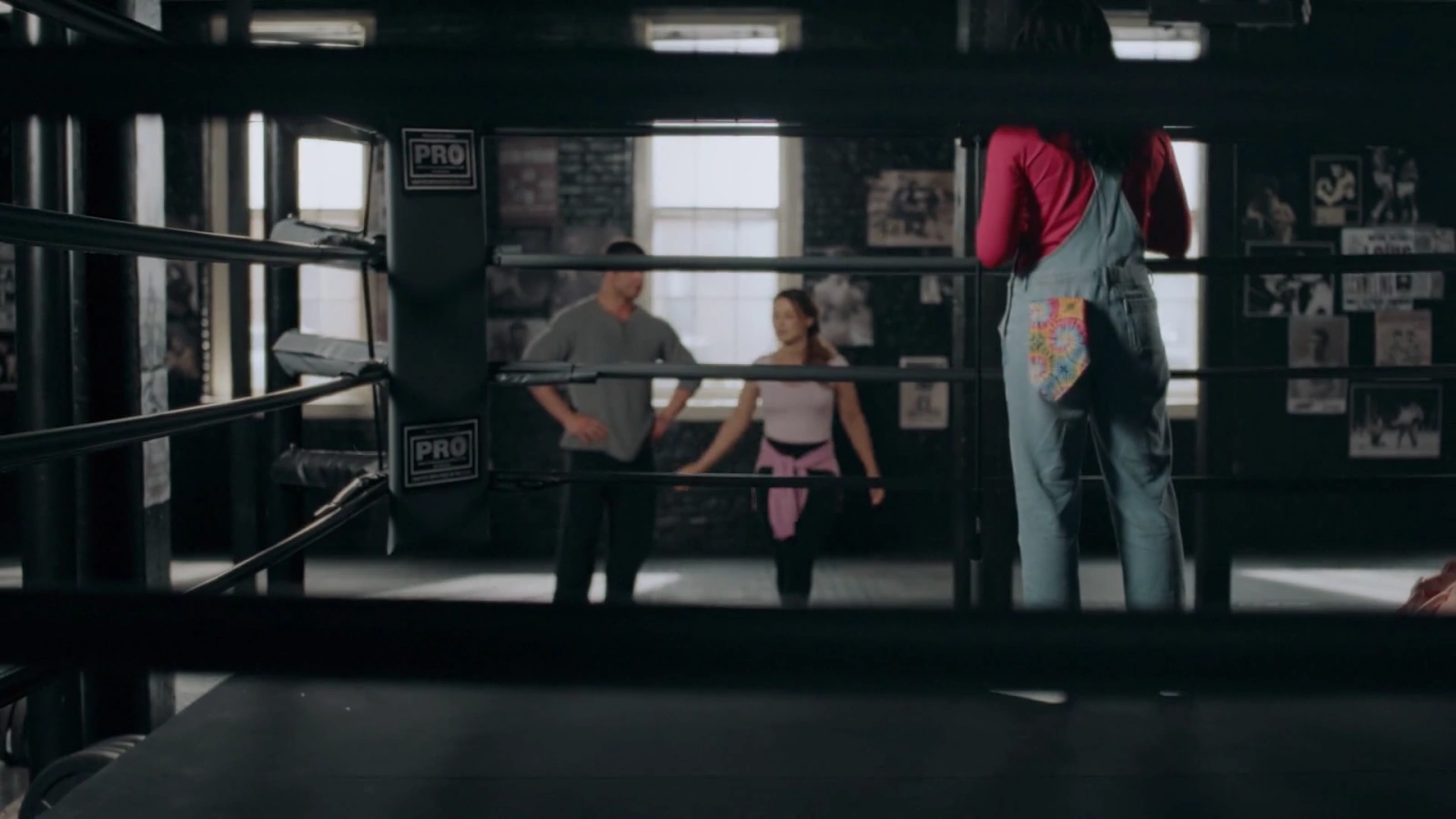 The Boxer and the Butterfly screenshot 4