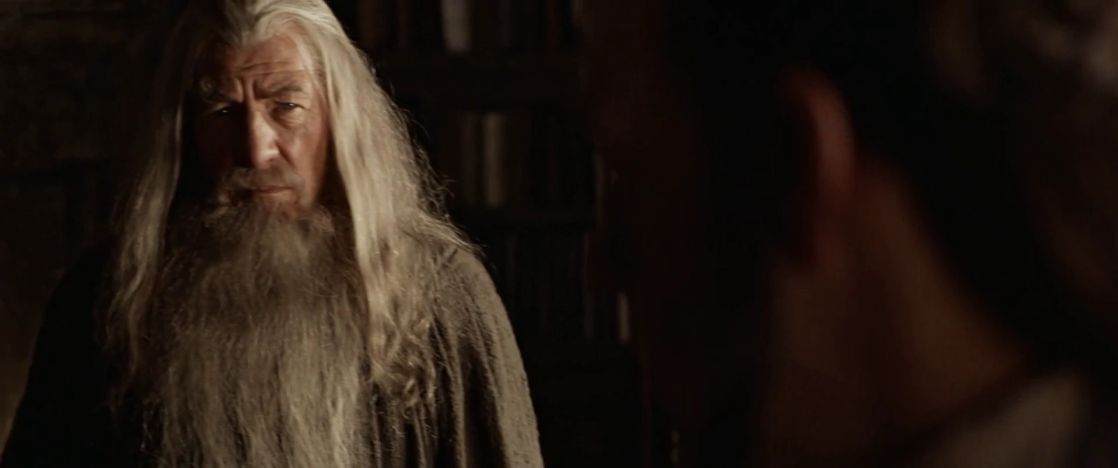 The Lord of the Rings: The Fellowship of the Ring screenshot 5