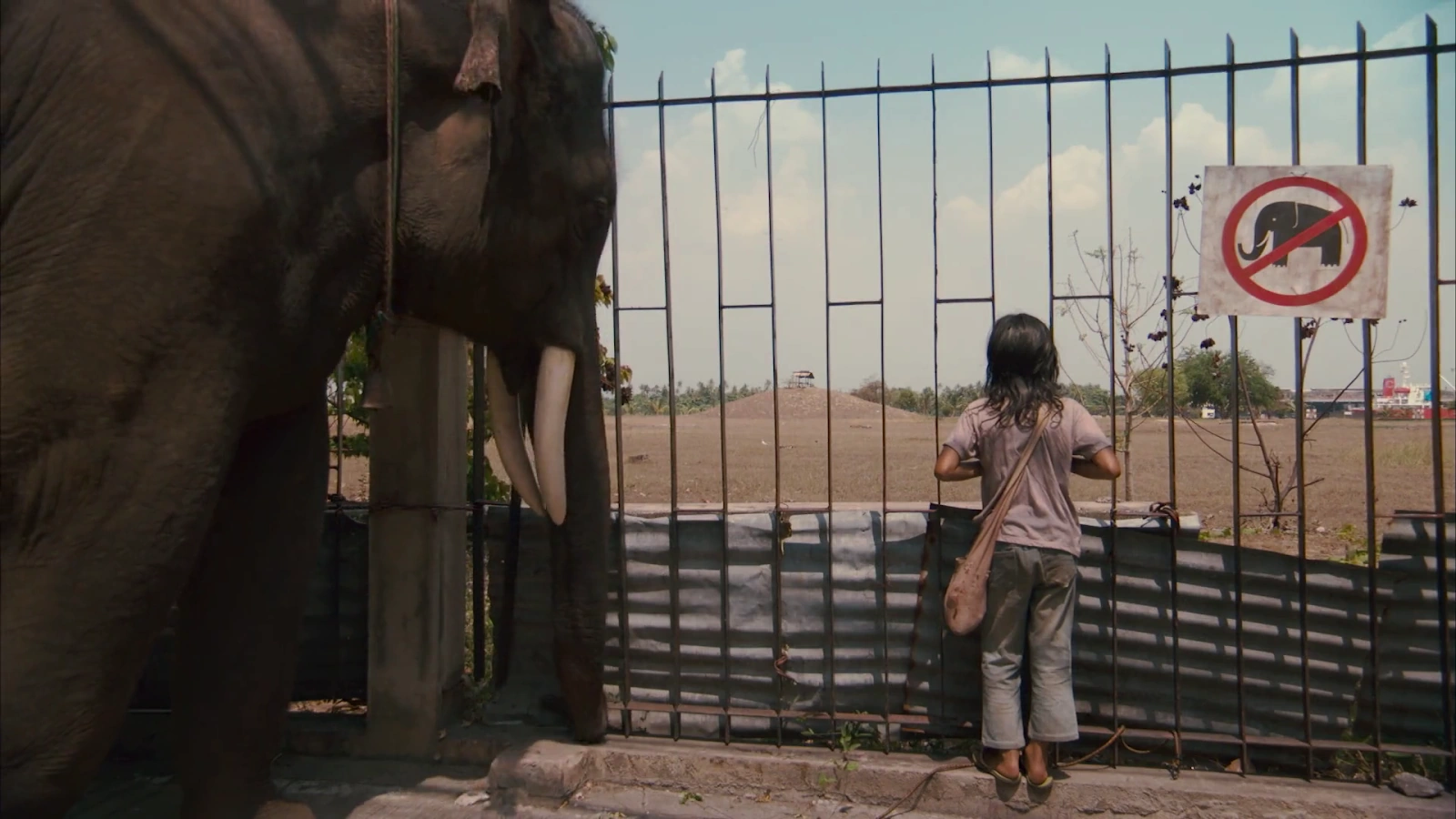 My Lucky Elephant screenshot 4