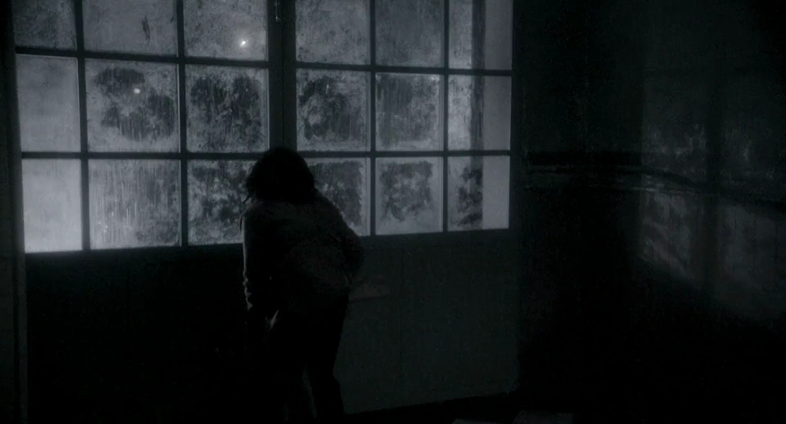 The Similars screenshot 3