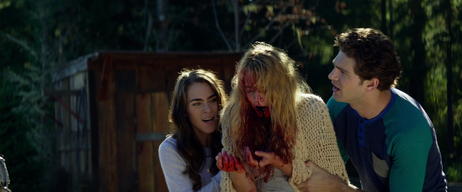 Cabin Fever screenshot 1