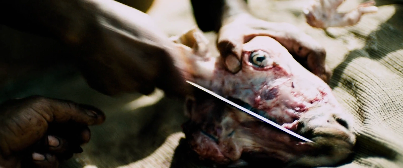 Monsters: Dark Continent screenshot 2