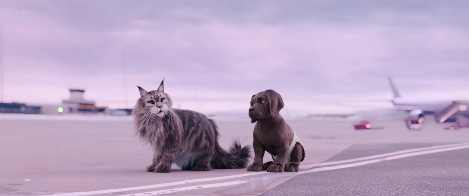 Cat and Dog screenshot 1