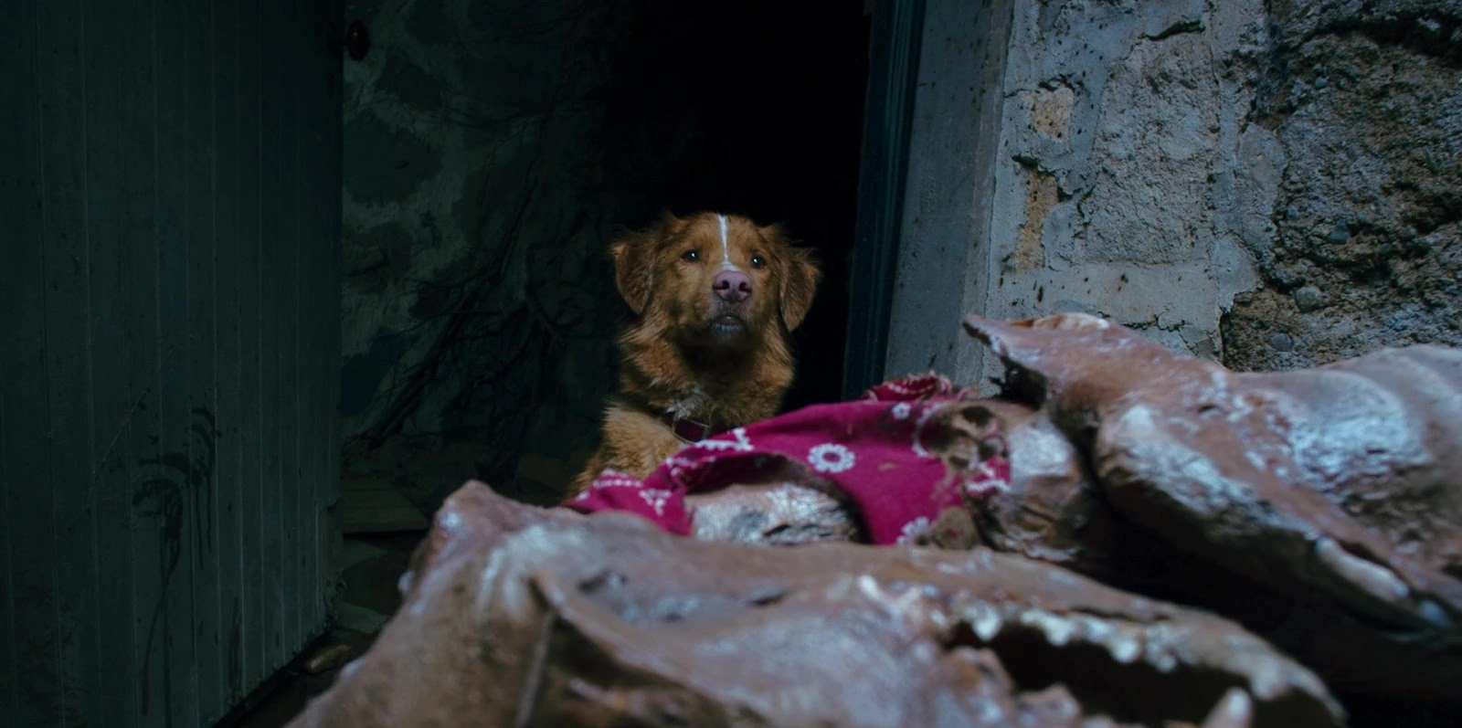 Good Boy screenshot 5