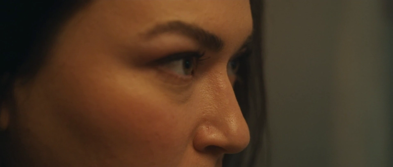 Stranger in the Woods screenshot 3