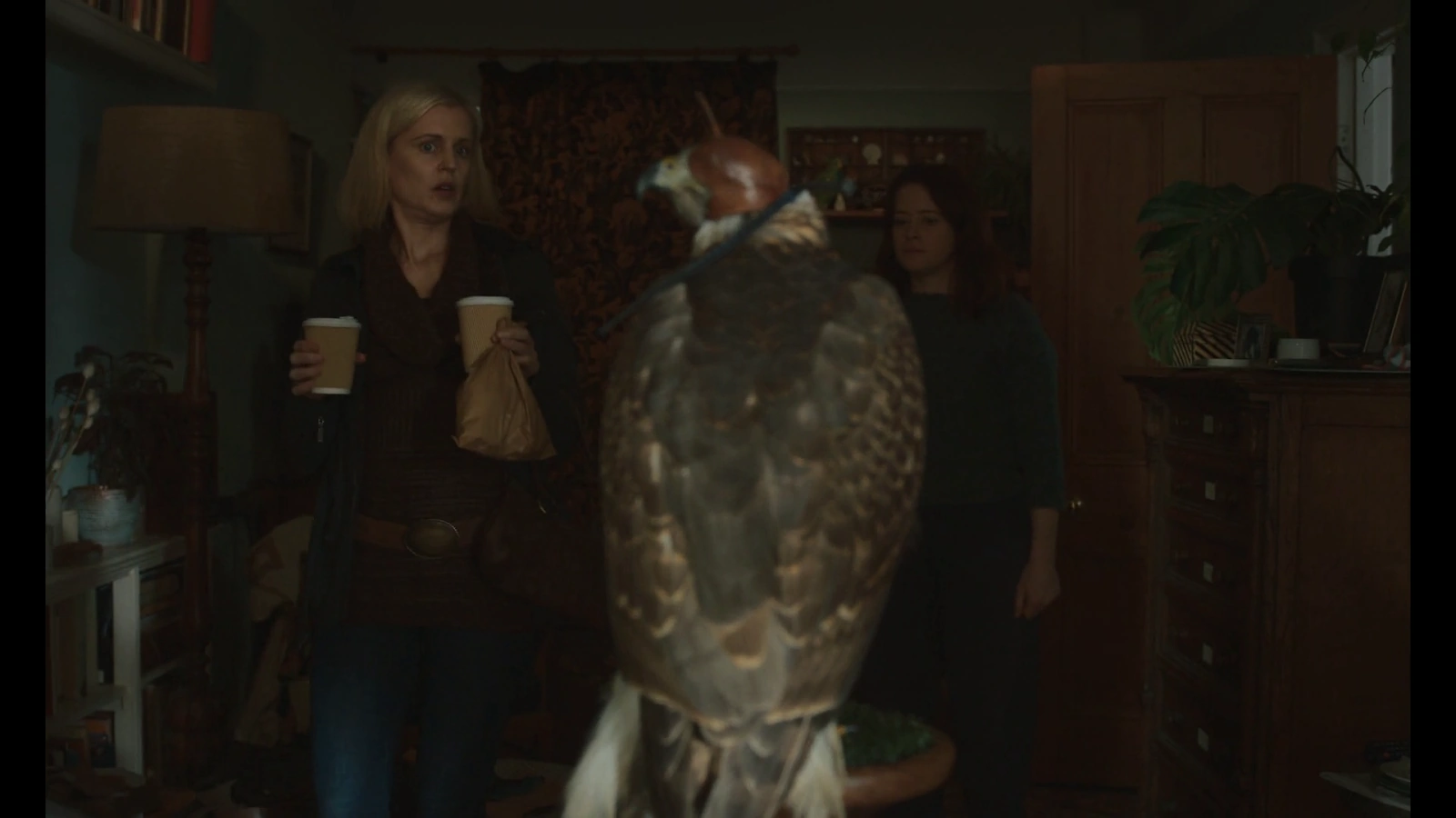 H Is for Hawk screenshot 4